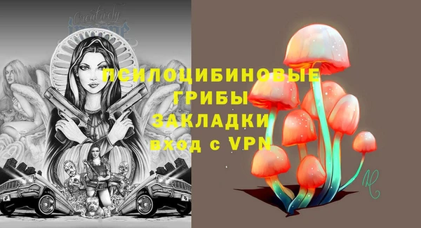 PSILOCYBIN Баксан